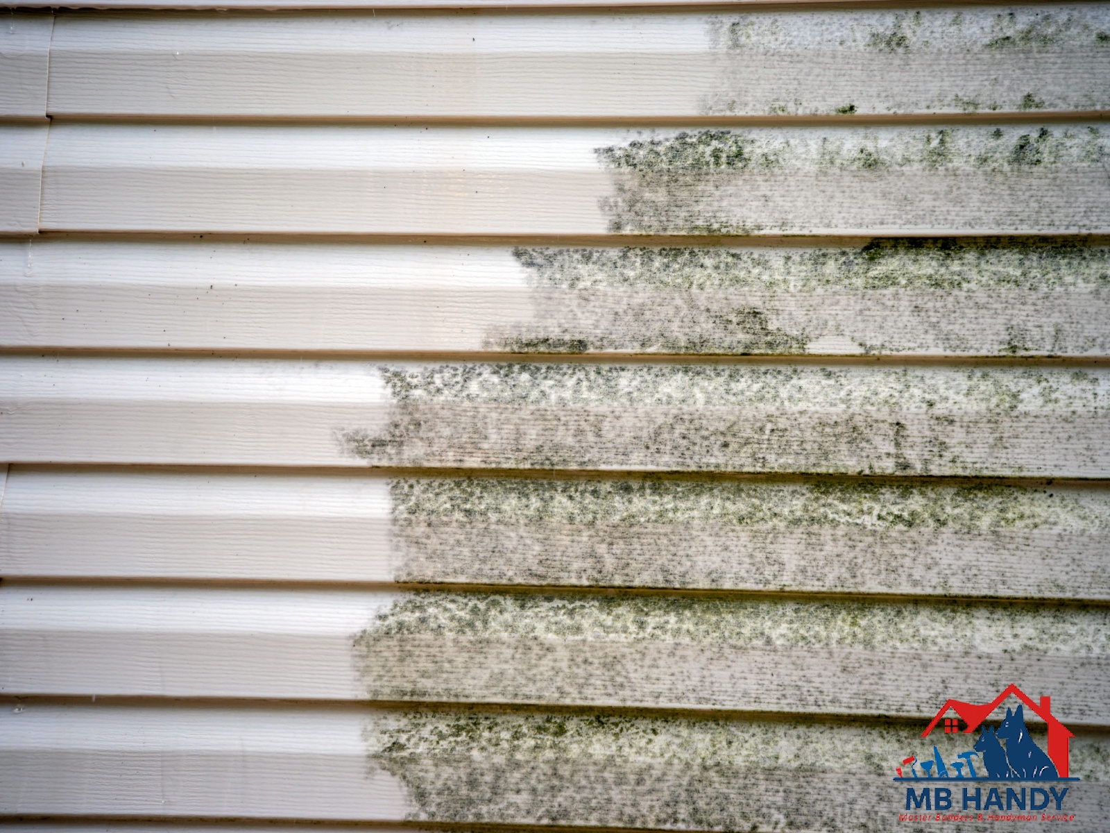 Siding Pressure Washing for a Fresh, Clean Finish